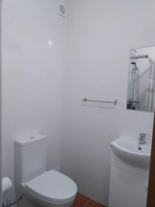 Casa Dos Noveloes Villa Ponta Delgada Eksteriør billede